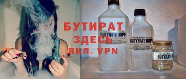 амф Гусев