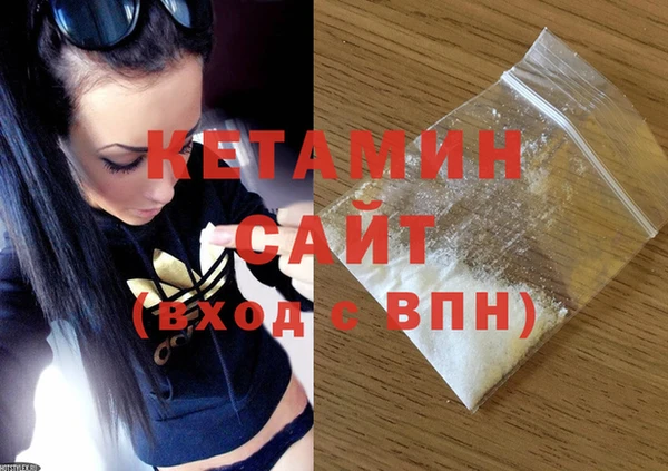 амф Гусев