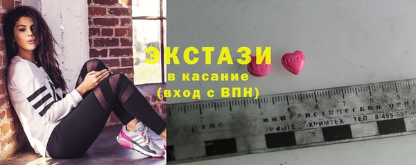 амф Гусев