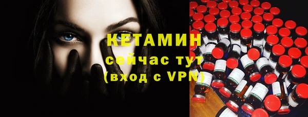 амф Гусев