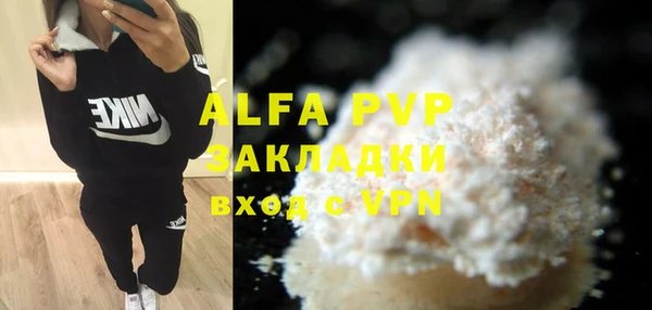 амф Гусев