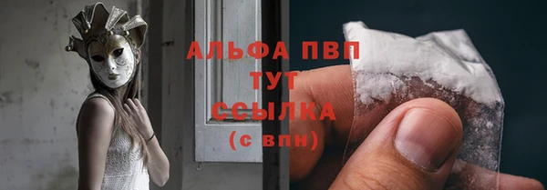 амф Гусев