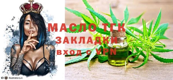 амф Гусев
