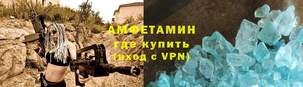 амф Гусев