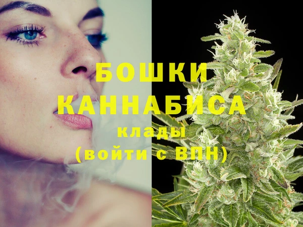 марки nbome Гусь-Хрустальный