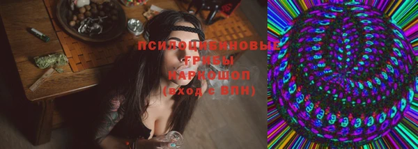 каннабис Гусиноозёрск